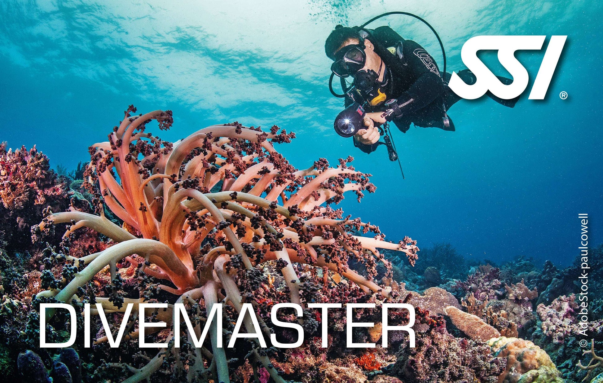 SSI Divemaster - WATERSPORTS24