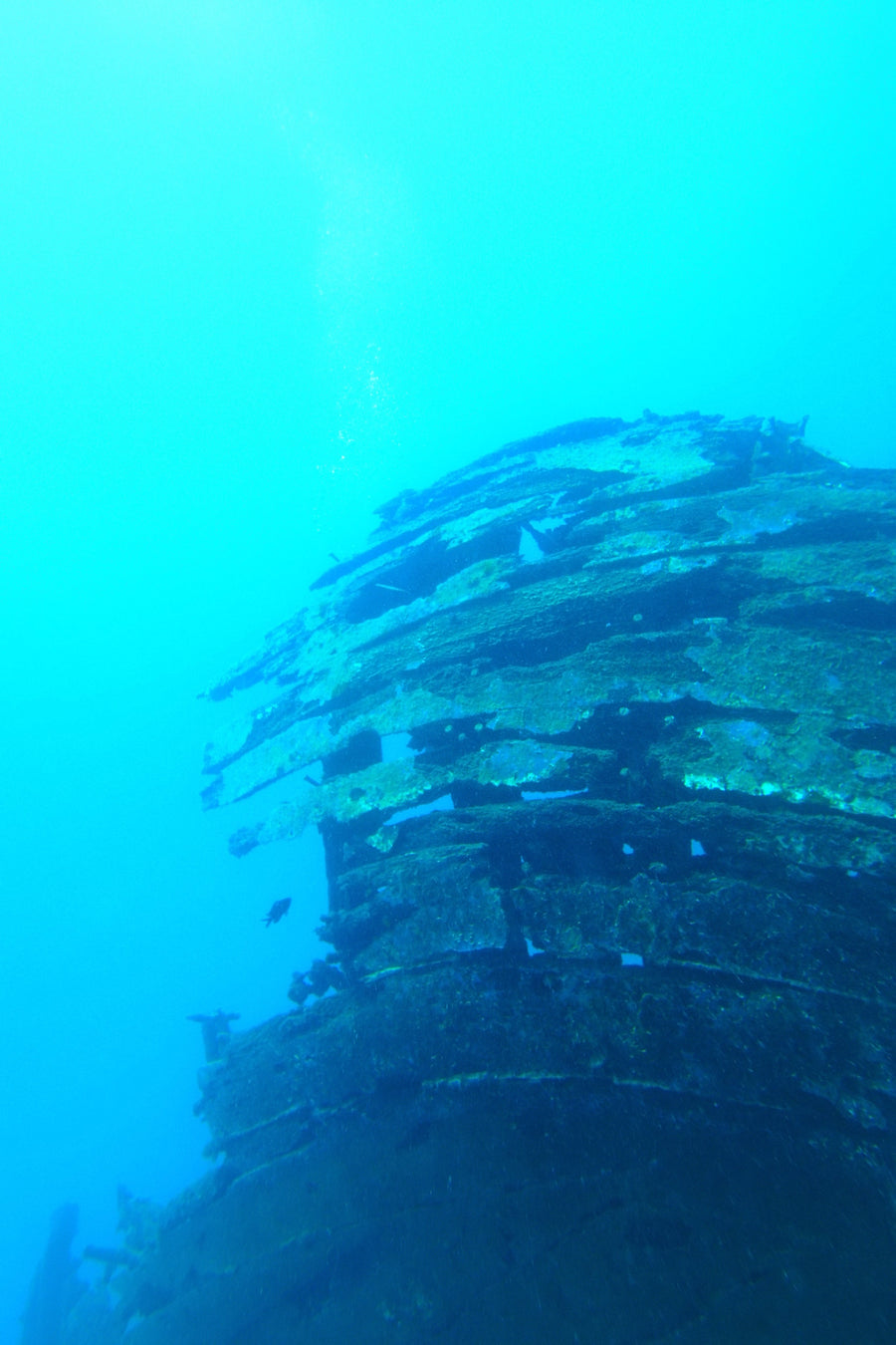 Taucher an einer Steilwand in der kroatischen Adria