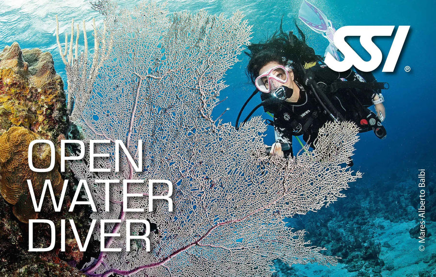 SSI Open Water Diver Tauchausbildung am Bodensee mit Watersports24